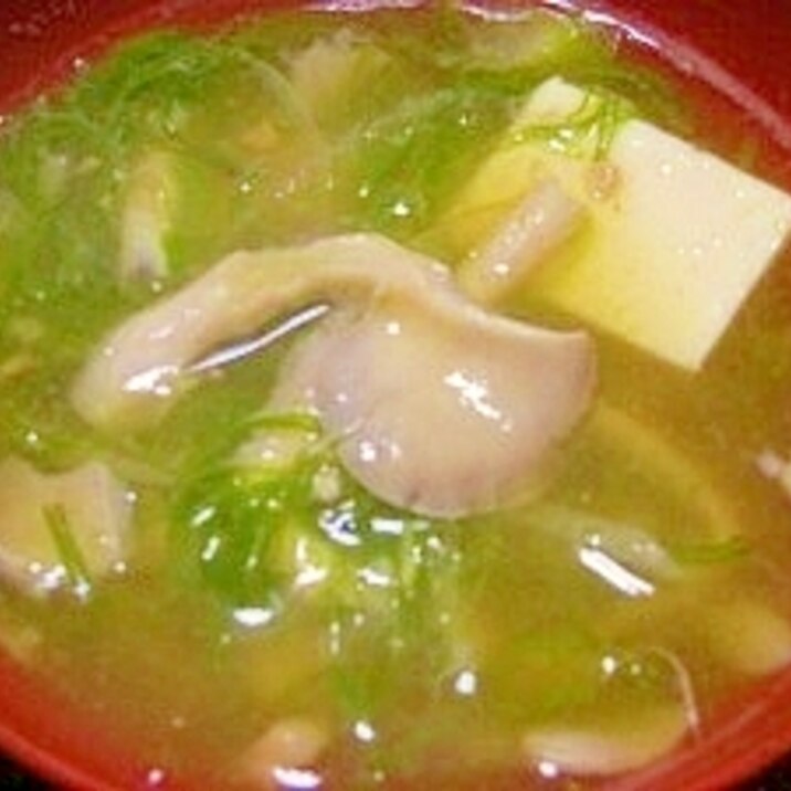 毎日のお味噌汁27杯目 たもぎ茸とメカブ 豆腐 レシピ 作り方 By ブルーボリジ 楽天レシピ 毎日のお味噌汁27杯目 たもぎ茸とメカブ 豆腐 レシピ 作り方 By ブルーボリジ 楽天レシピ